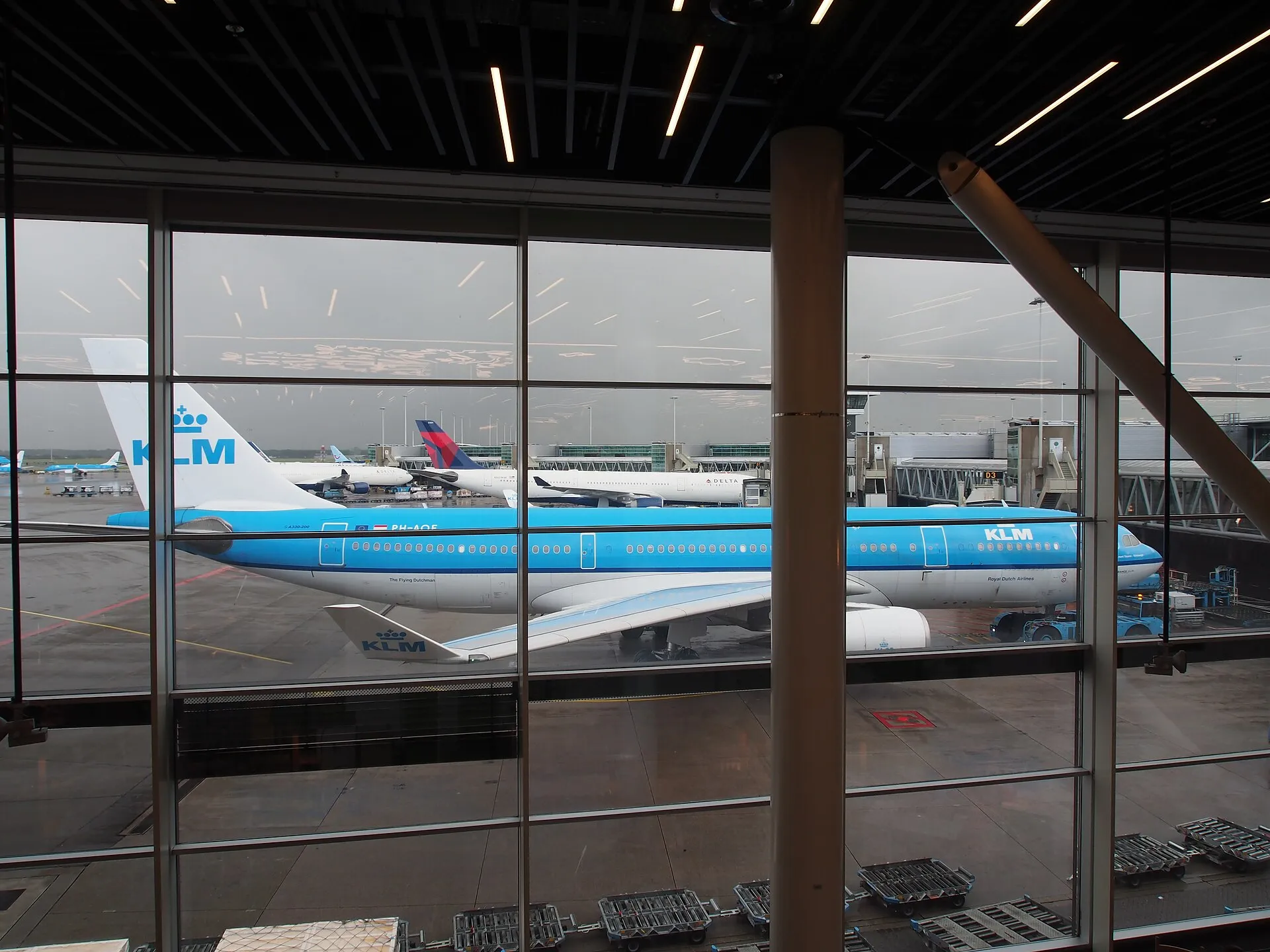 Массивные 19-часовые полеты: 10 новых сверхдлинных маршрутов KLM в 2026 году [Полный список]