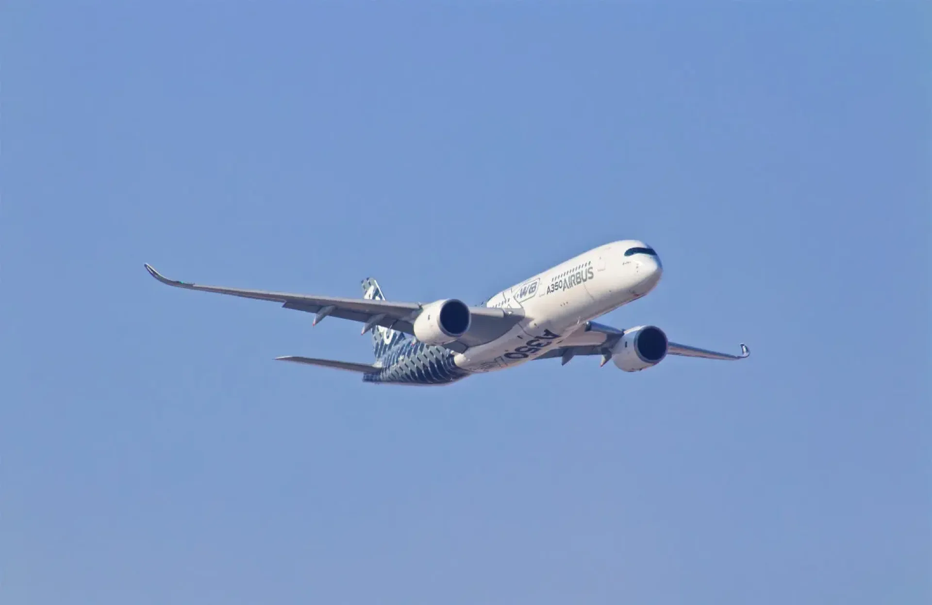 The four forces of flight